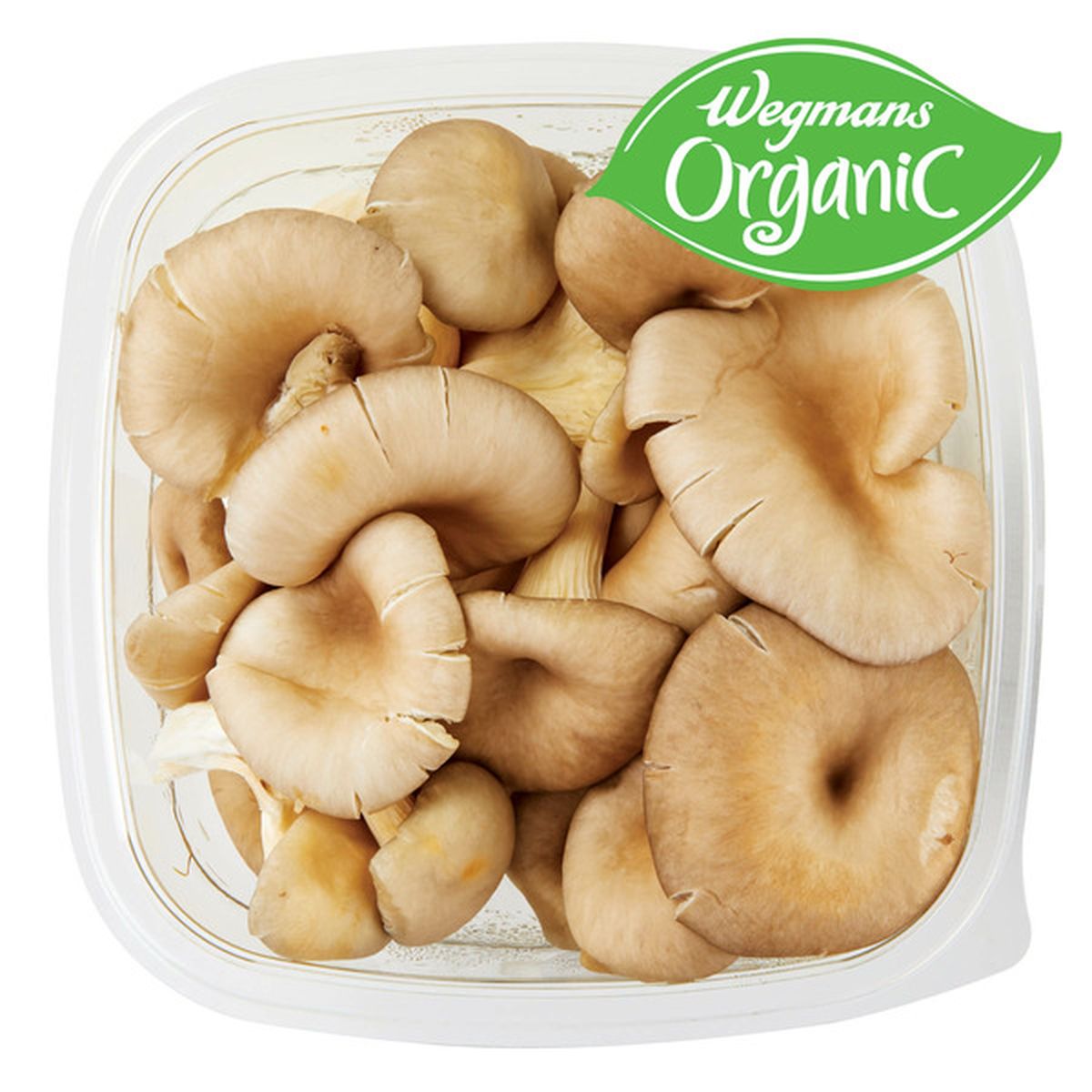 Calories in Organic Blue Oyster Mushrooms