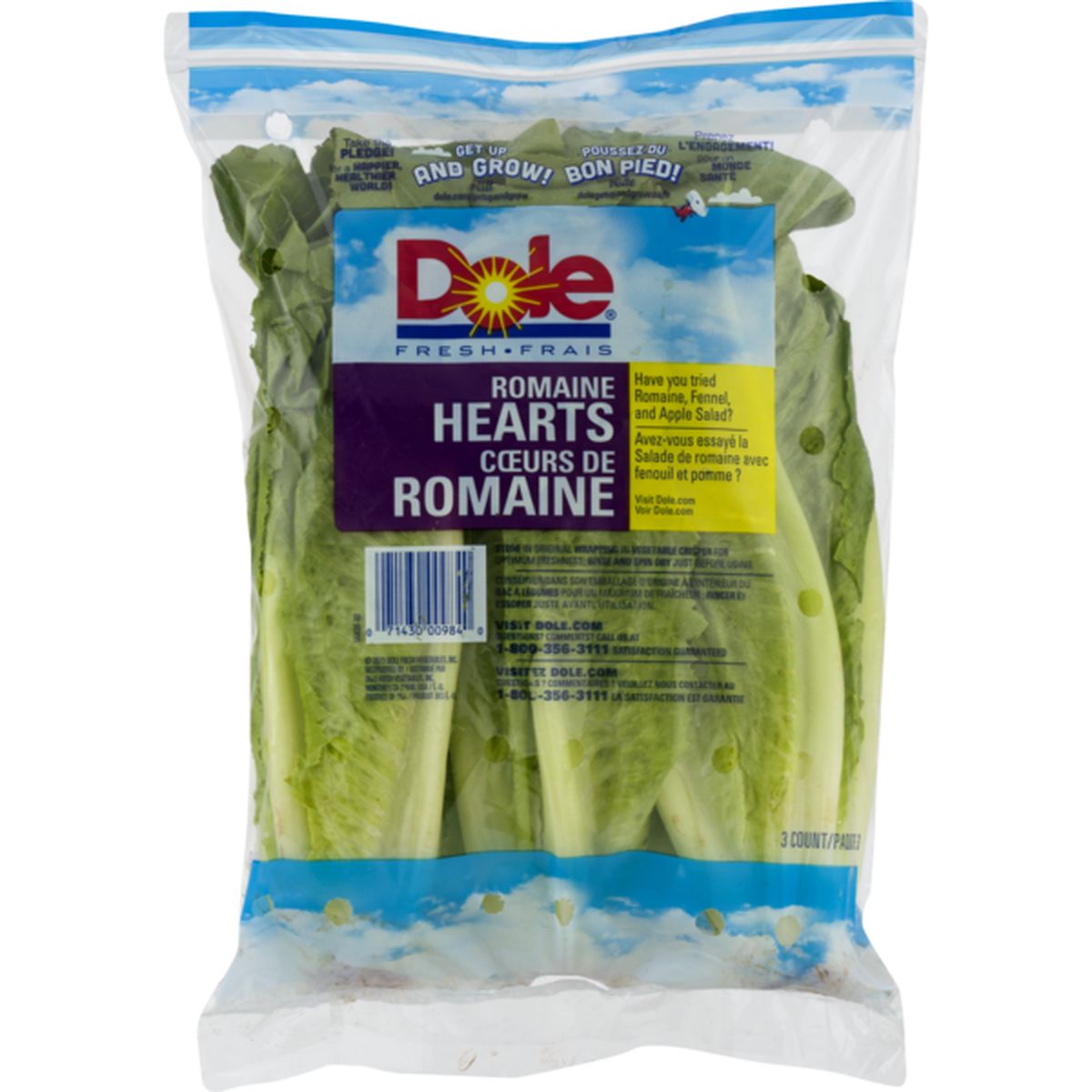 iceburg lettuce