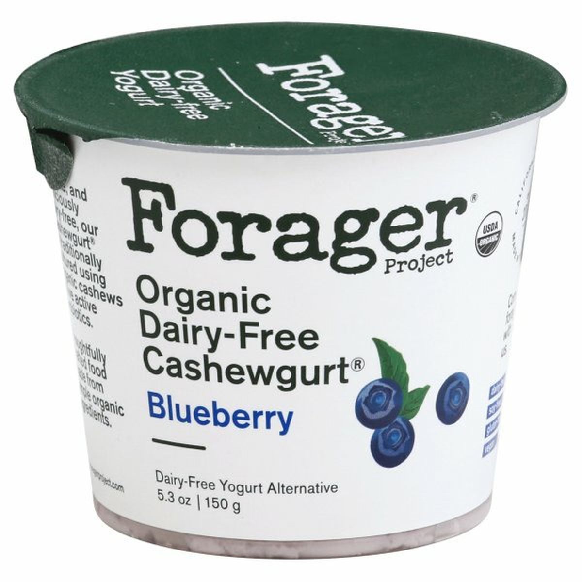 Calories in Forager Project Cashewmilk Yogurt, Organic, Dairy-Free, Blueberry