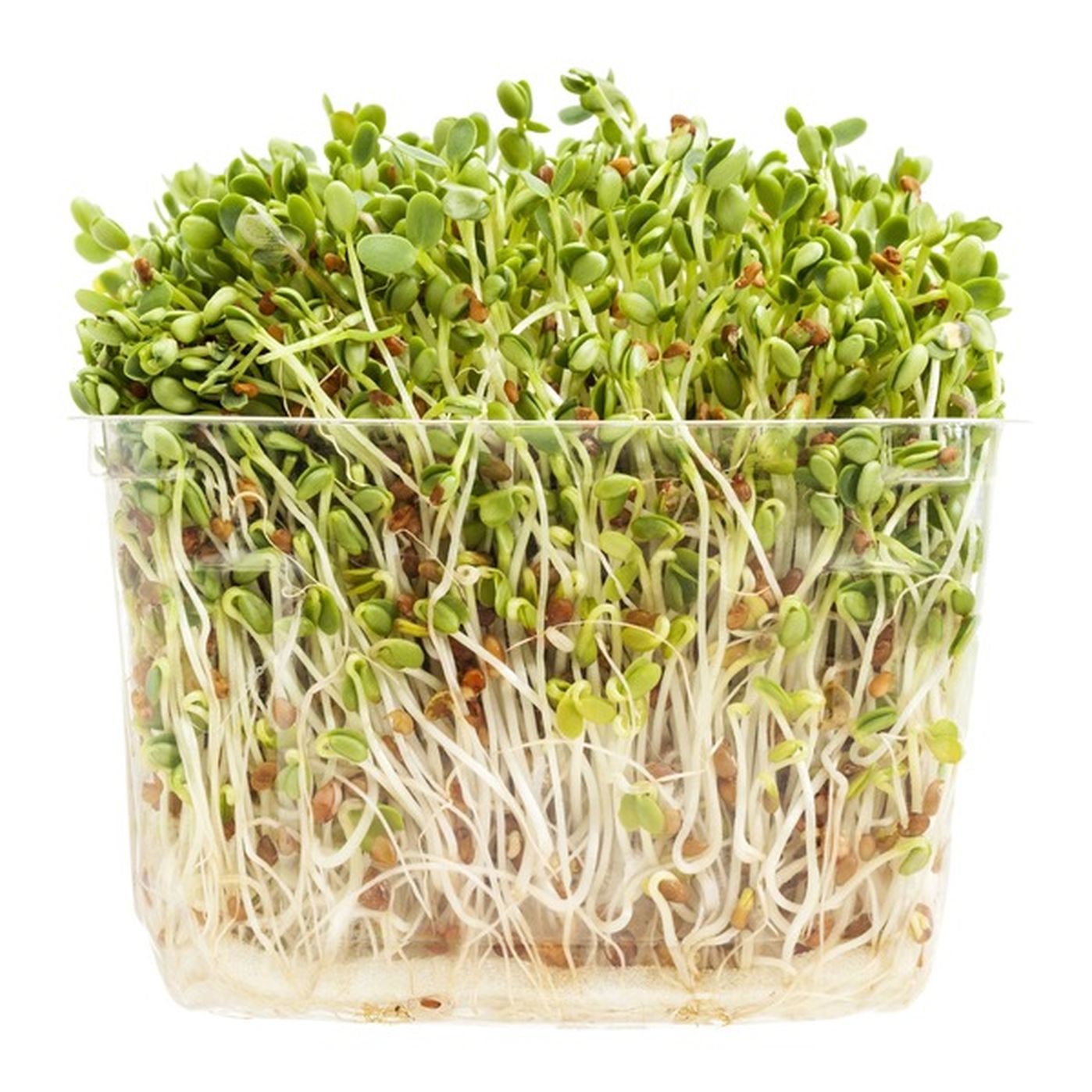 Can You Eat Clover Sprouts Raw