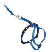 PetSafe Come With Me Kitty Harness and Bungee Leash, Large, Royal