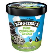Ben & Jerry's Ice Cream Mint Chocolate Cookie