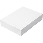 Wilton 19 x 14 x 4-Inch White Cardboard Sheet Cake Boxes, 2-Count