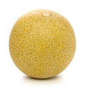 Organic Galia Melon