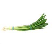 Organic Green Onions (Scallions)