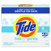 Tide Free & Gentle Powder Laundry Detergent