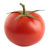 Organic Red On the Vine Tomato