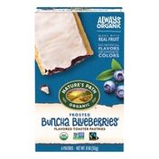 Nature's Path Organic Frosted Buncha Blueberries Toaster Pastries