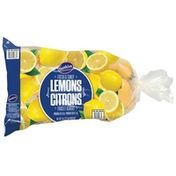 sk Lemons