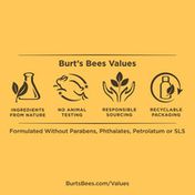 Burt's Bees Burts Bees Sensitive Skin Essentials, Baby Products Foaming Shampoo & Wash, Ultra Gentle Lotion, Dia