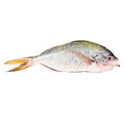 Wild/South American Fresh Whole Red Snapper