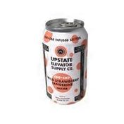 Upstate Elevator Supply Co. Cbg+cbd Infused Dietary Supplement Seltzer, Strawberry Tangerine