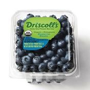 Driscoll's Organic Blueberries