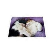 Avanti Press Two Cats Snuggling Card