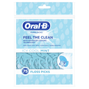 Oral-B Complete Dental Floss Picks, Icy Cool Mint