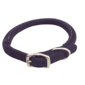 petco rolled leather collar