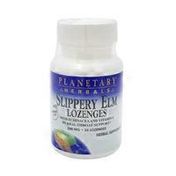 Planetary Herbals Slippery Elm Lozenge With Echinacea And Vitamin C Tangerine Flavored 200 mg Lozenges