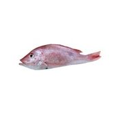 Red Snapper Whole Wild Caught