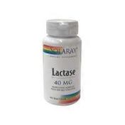 Solaray Lactase 40 Mg With 100 Mg Calcium Vegicaps