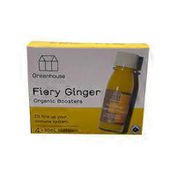 Greenhouse Juice Co. Fiery Ginger Value Pack