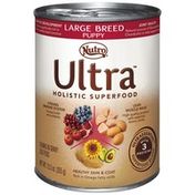 NUTRO Ultra Large Breed Puppy Chunks in Gravy Dog Food