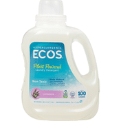 ECOS Laundry Detergent, Plant Powered, Lavender