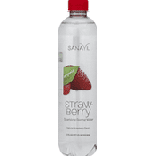 Sanavi Sparkling Water, Spring, Organic, Strawberry