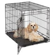 Midwest Homes for Pets 30" L X 21" W X 24" H Medium Life Stages Fold & Carry Crate for Dogs