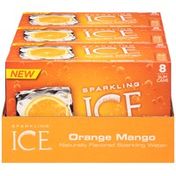 Sparkling Ice Naturally Flavord Orange Mango Sparkling Water