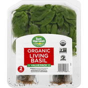 Sun Harvest Living Basil, Organic, Value Pack