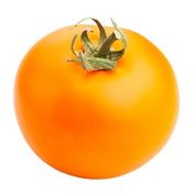 Organic Orange On the Vine Tomato