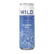 Wild Tonic Jun Kombucha, Raw, Blueberry Basil