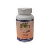 Natural Factors 40mg Lutein Dietary Supplement Softgels