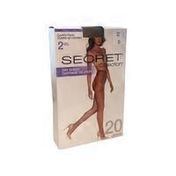 Secret Collection Day Sheer Nylon Pantyhose With Control Panty & Reinforced Toe - Beige Faille D