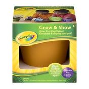 Crayola Grow & Show Flower Pot Kit