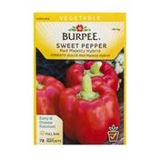 Burpee Sweet Pepper Red Majesty Hybrid