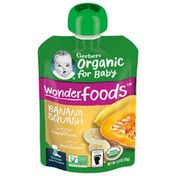 Gerber 2nd Foods Banana Squash Baby Food Pouches