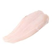 Halibut Fillet