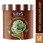 Edy's/Dreyer's EDY'S/DREYER'S Mint Chocolate Chip Ice Cream