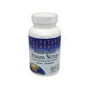 Planetary Herbals 420mg Freeze Dried Stinging Nettles Herbal Respiratory Support Tablets
