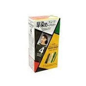 Paon Seven-Eight Permanent Hair Color Kit With Brush - 4 Natural Brown