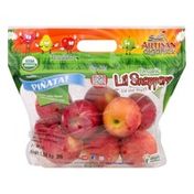Stemilt Artisan Organics Lil Snappers Apples Pinata!