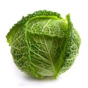 Green Savoy Cabbage