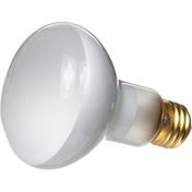 Zilla 100 Watts White Light Incandescent Spot Bulb