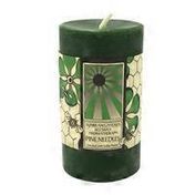 Sunbeam Candles 2” x 3” Pine Needles Beeswax Aromatherapy Pillar Candle