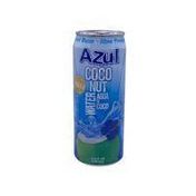 Mira Azul Coconut Water With Pulp