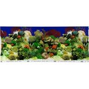 Petco Double Sided Penn Plax Aquarium Background for 20 to 29 Gallon Tank