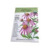 Botanical Interests Organic Purple Coneflower Echinacea Seeds
