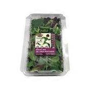 Classic Salads Organic Spring Salad Mix