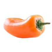 Orange Sweet Mini Pepper